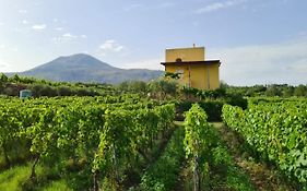 Vesuvio Inn Guest House e Wine Experience